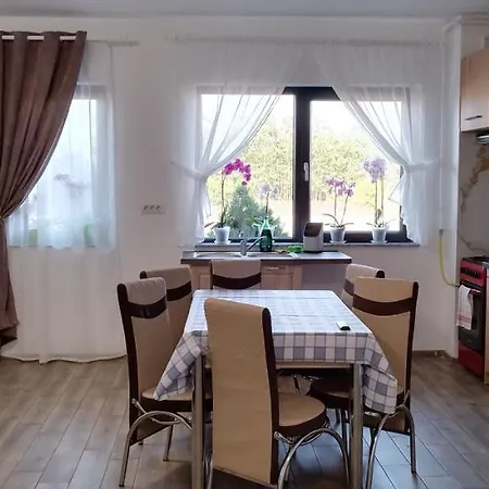 Apartament Ilinca *